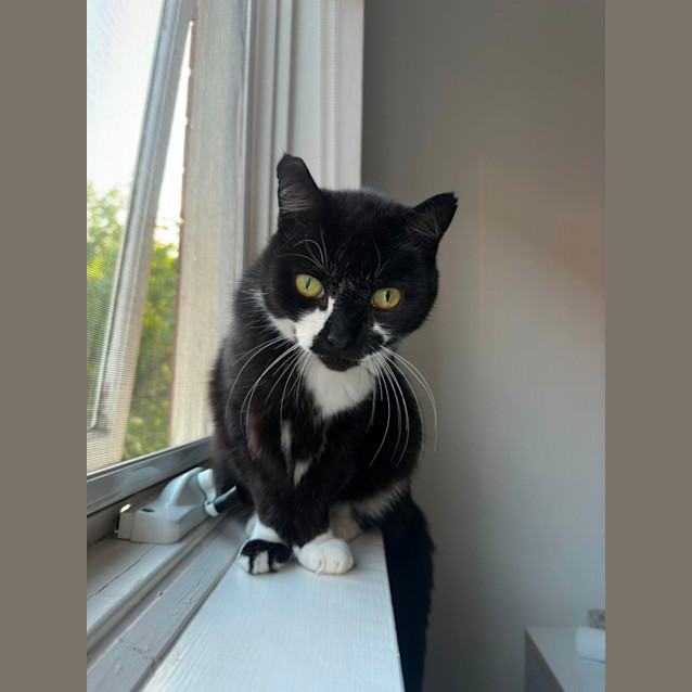 Photo of Major Tom & Billy Joel