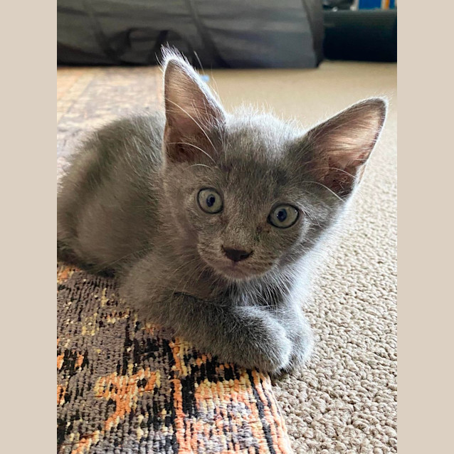 Photo of Jack