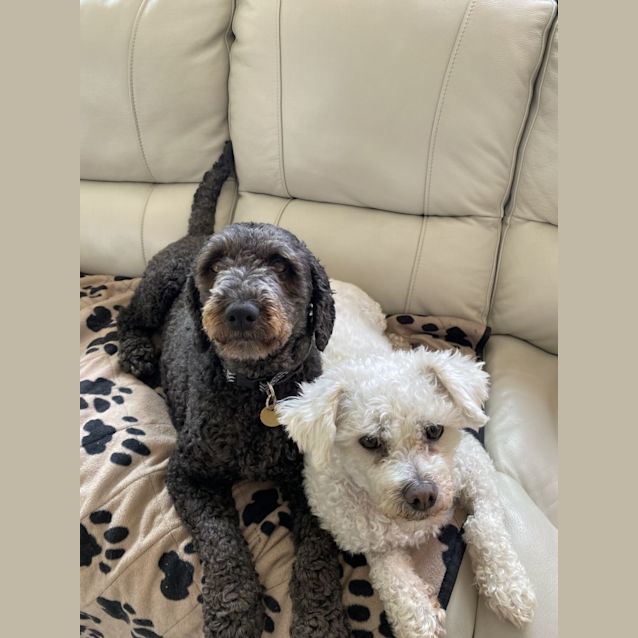 Photo of Pearl And Gordon