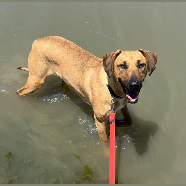Photo of Moxie 