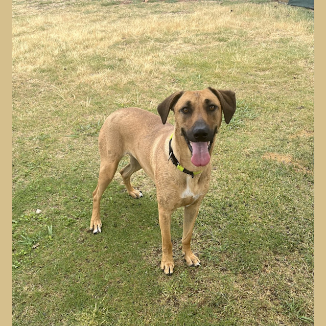 Photo of Moxie 