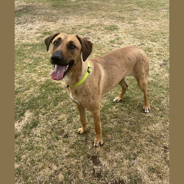 Photo of Moxie 
