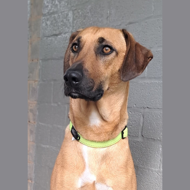 Photo of Moxie 