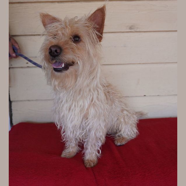Photo of Bohdi