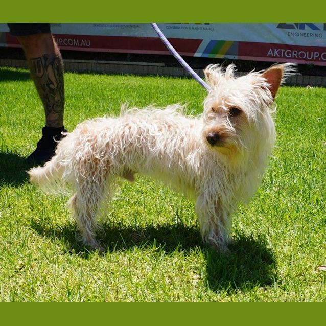 Photo of Bohdi