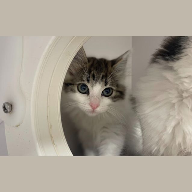 Photo of Candy