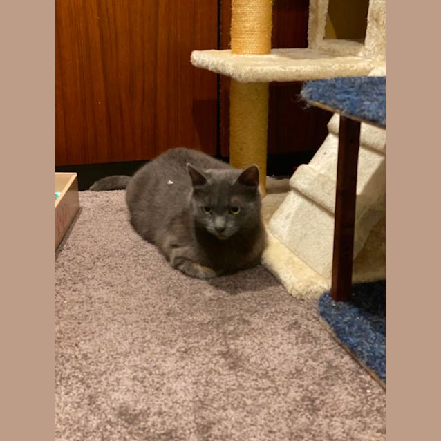 Photo of Phoebe