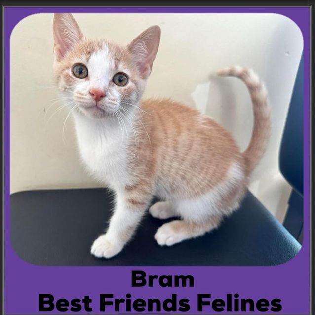 Photo of Bram 