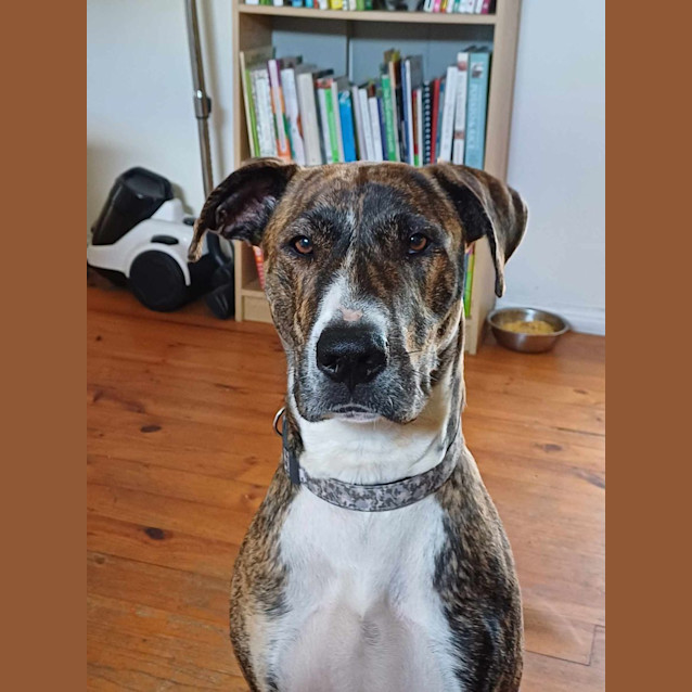 Photo of Sasha