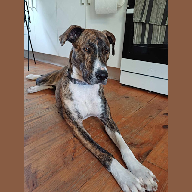 Photo of Sasha