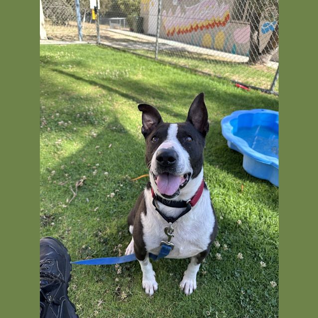 Photo of Hercules 