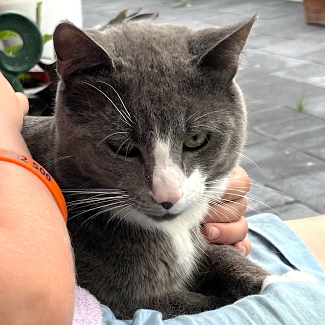 Photo of Frankie And Blue