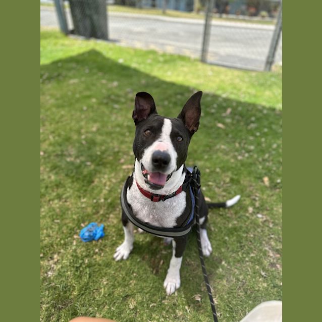 Photo of Hercules 