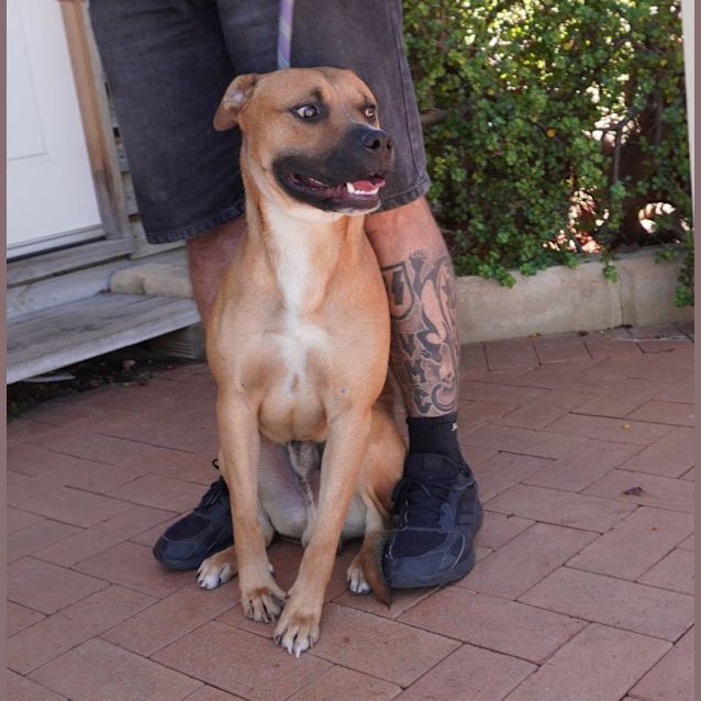 Photo of Reuben