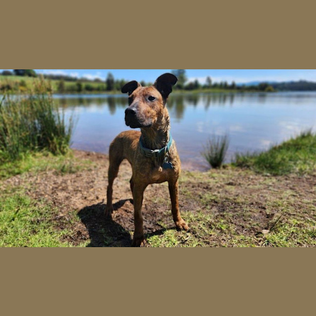 Photo of Cookie Yarbury