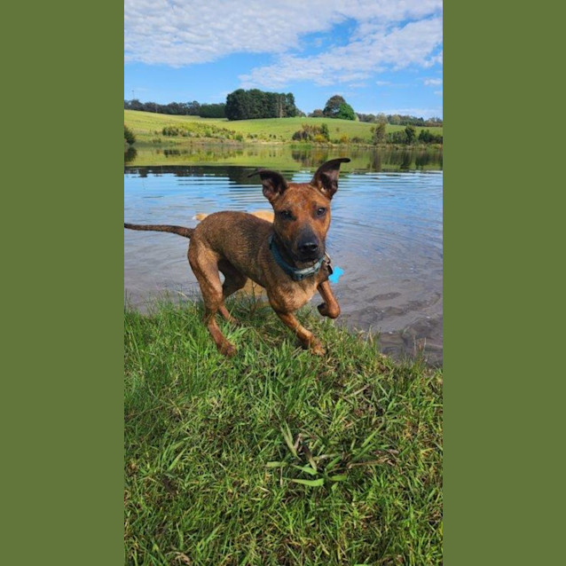 Photo of Cookie Yarbury