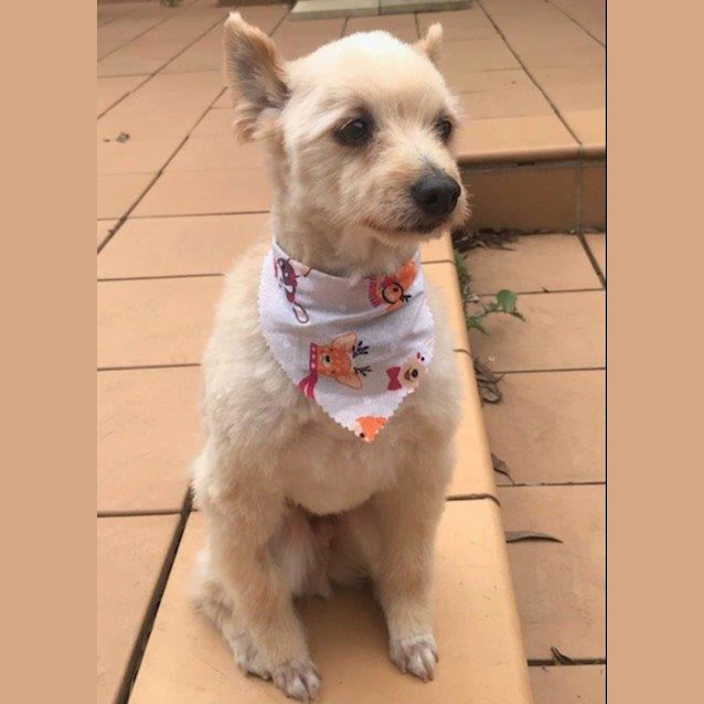 Photo of Jasper Nightingale