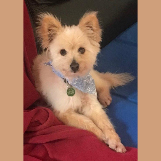 Photo of Jasper Nightingale