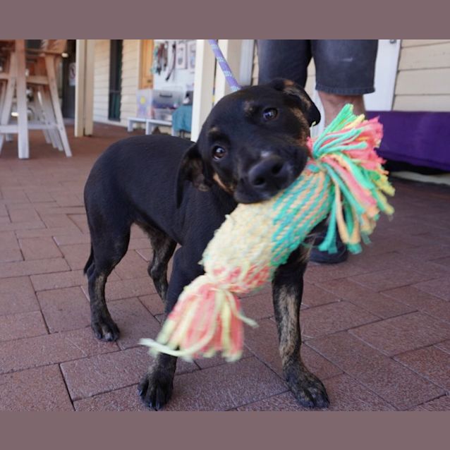 Photo of Libby