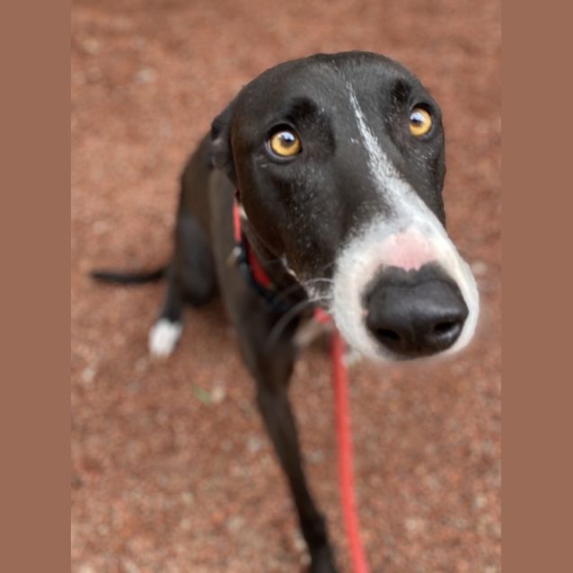 Photo of Bonty