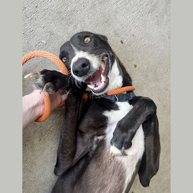 Photo of Bonty