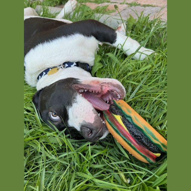 Photo of Tairn