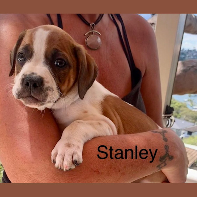 Photo of Stanley