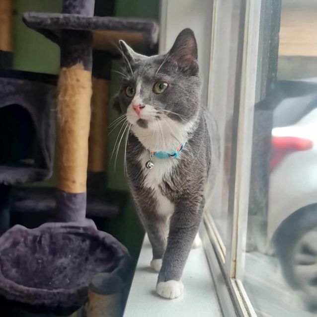 Photo of Parker   Located In Fawkner