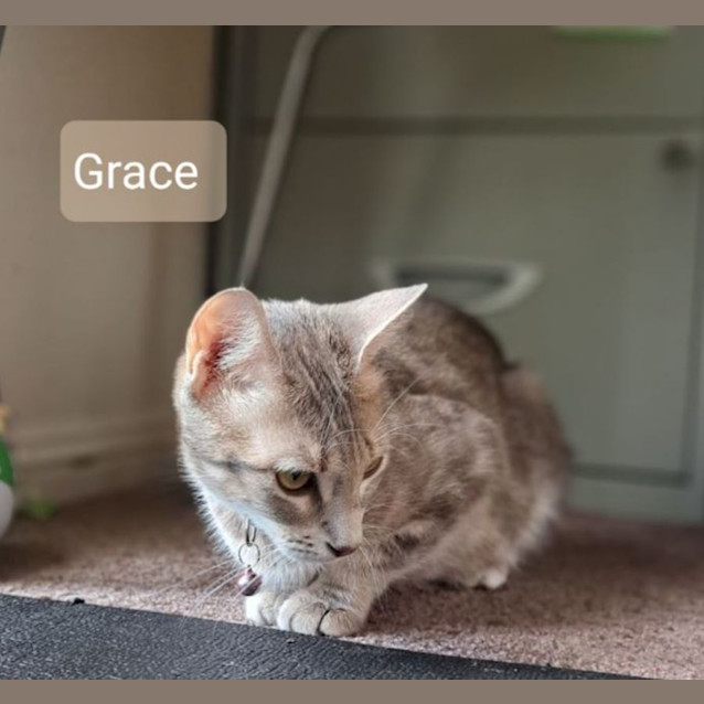 Photo of Grace