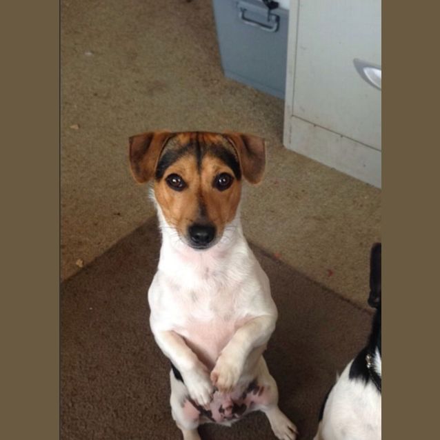 Photo of Ralph And Turbo