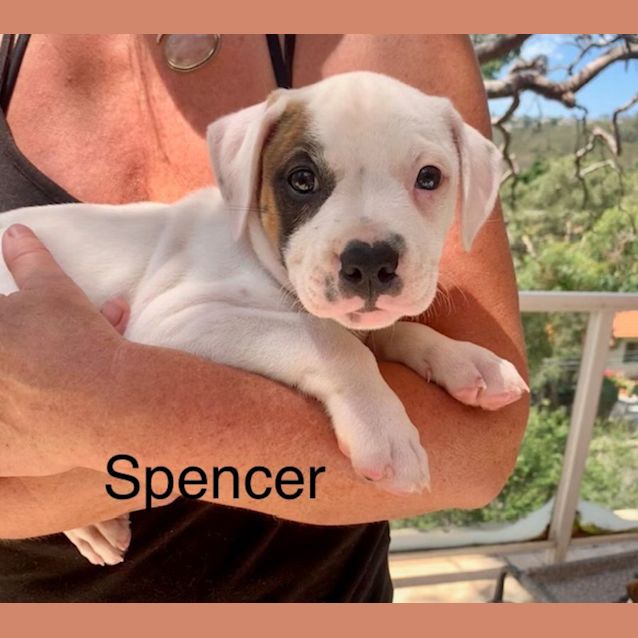 Photo of Spencer