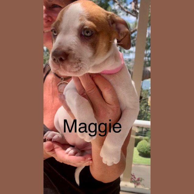 Photo of Maggie 