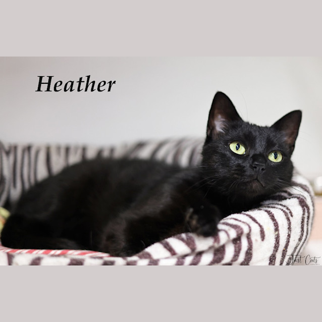 Photo of Heather