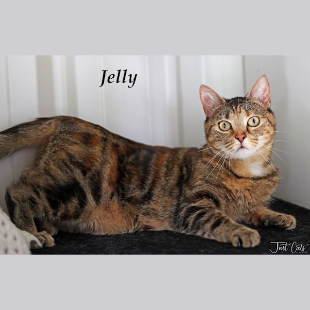 Photo of Jelly
