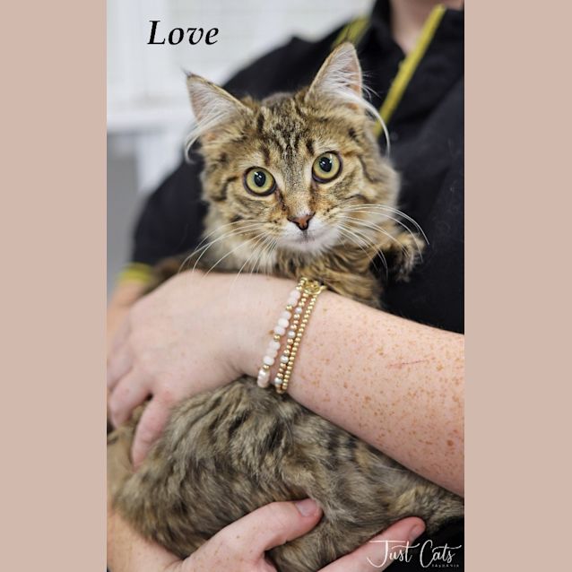 Photo of Love