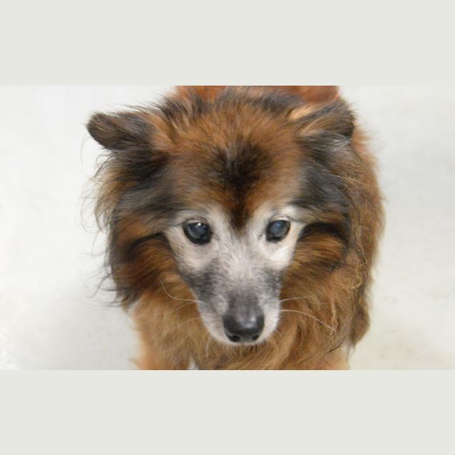 Photo of Lily