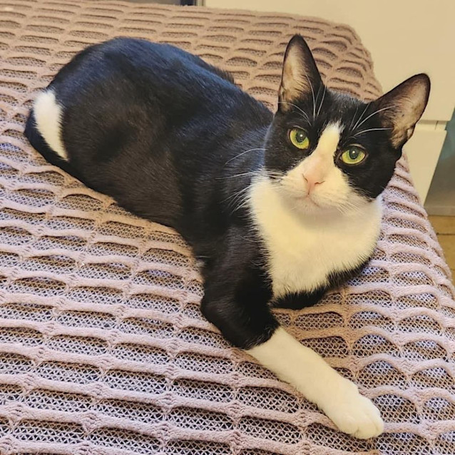 Photo of 9767   Narla