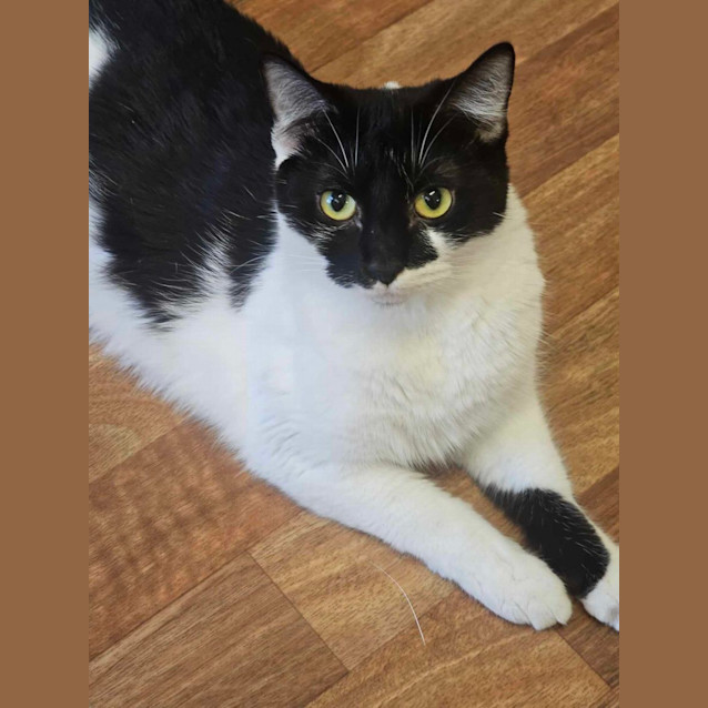 Photo of Angel