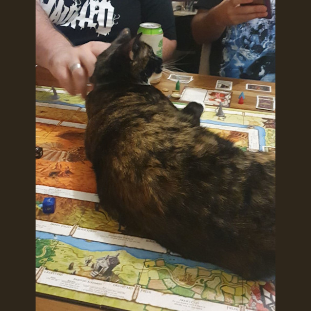 Photo of Calypso