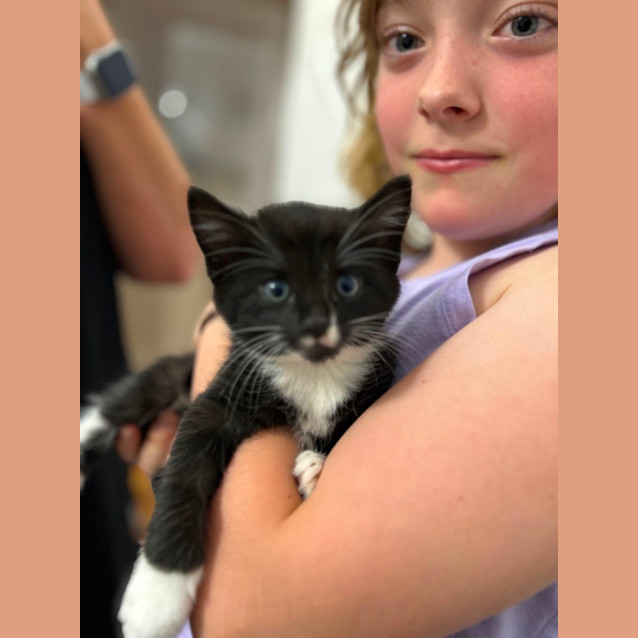 Photo of Cuddles And Puddles