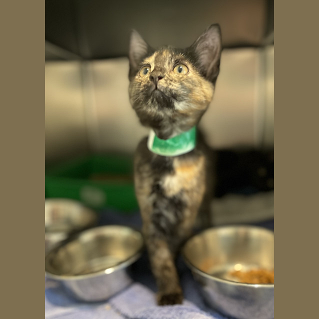 Photo of Tabitha