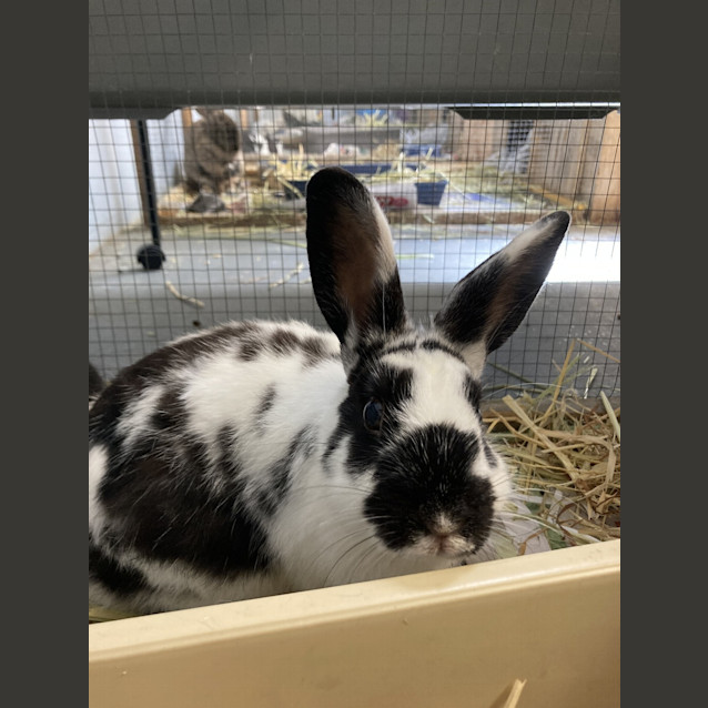 Photo of Taco