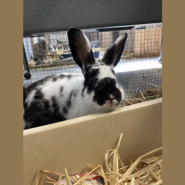 Photo of Taco