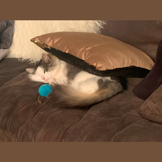 Photo of Jessie 🌹