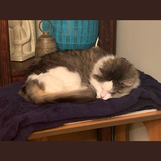 Photo of Jessie 🌹