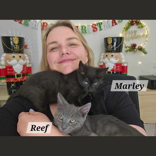 Photo of Reef