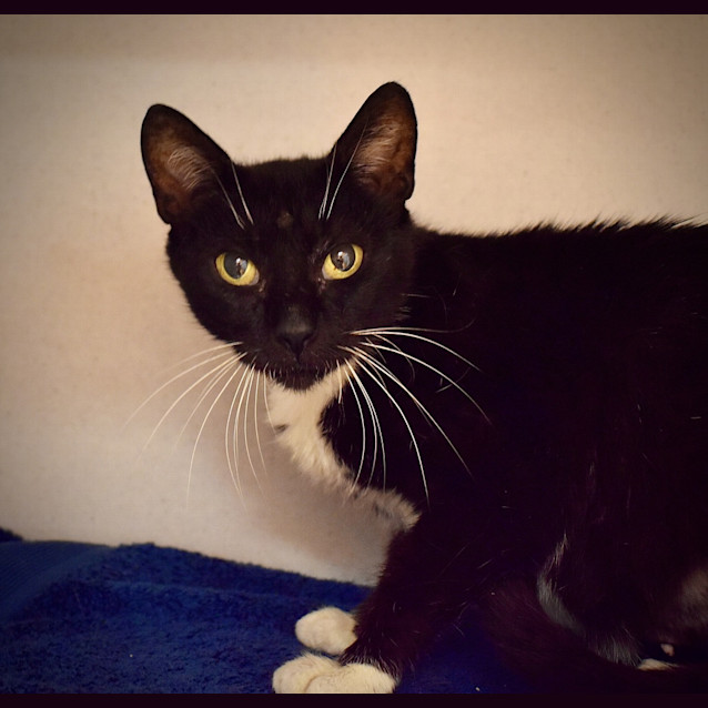Photo of Louie 