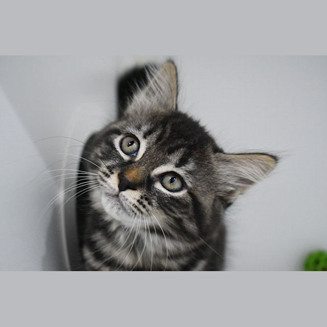 Photo of Gabby