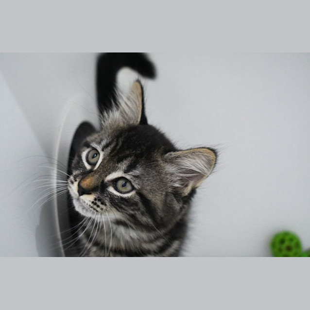 Photo of Gabby