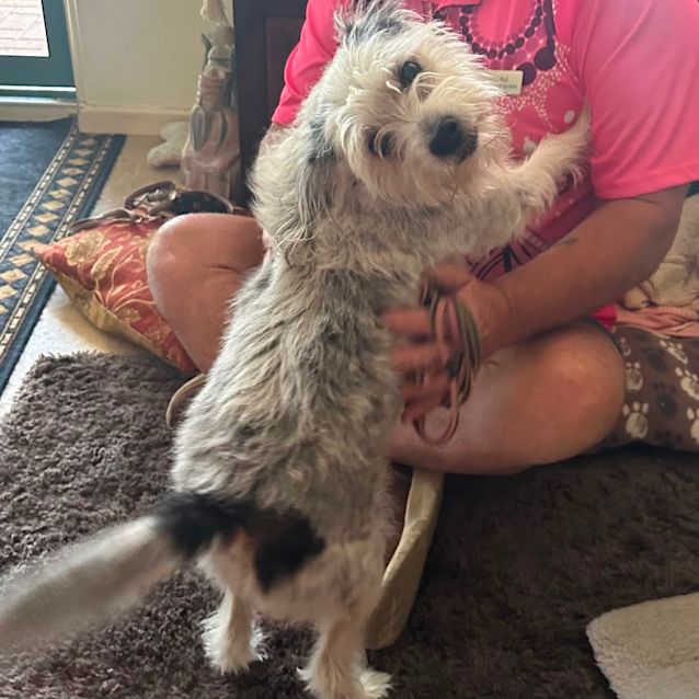 Photo of Harry And Missy 